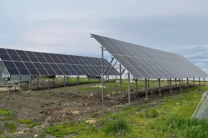 Собственная солнечная электростанция появилась у саратовской компании «Опытная станция садоводства»